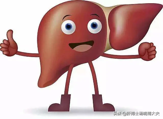 湿气,从哪里来,有何特征?