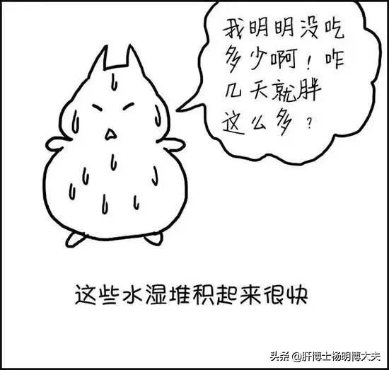 湿气,从哪里来,有何特征?