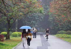 9月23日广州天气：中雷雨