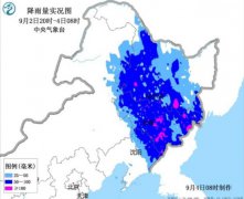 台风冷空气一拍即合 强风