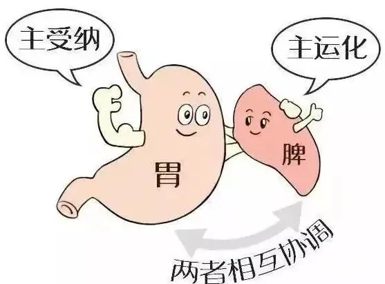 脾胃虚寒,身体状态差,三招帮你防治脾虚腹泻