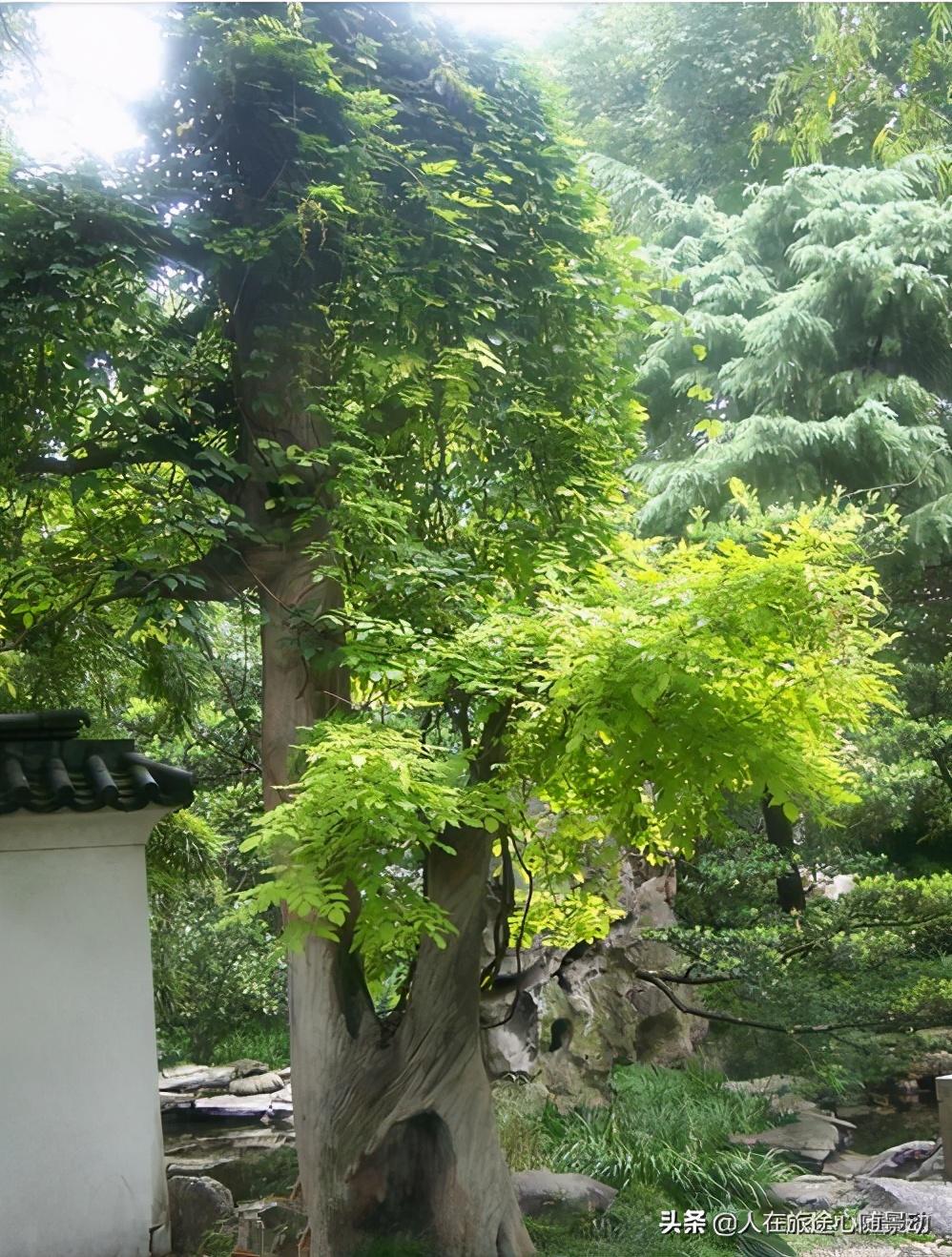 上海黄金地段的一袖珍公园,浓缩的却是上海一千多年来的精品名胜