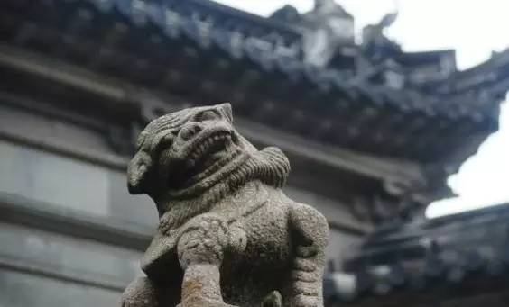 江苏吴江七大古镇,小桥流水人家,江南别样美韵