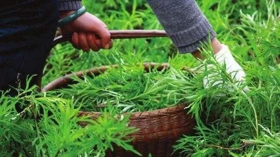 官宣!南京十大地标美食名单揭晓