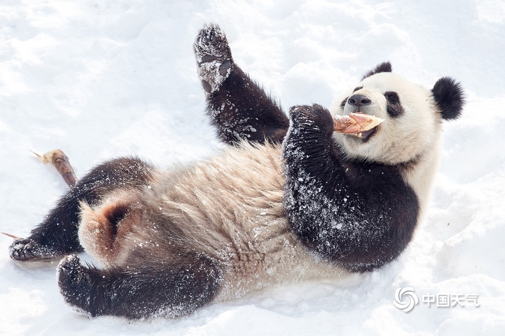 解锁最美冬季赏雪地 冰雪世界美若童话