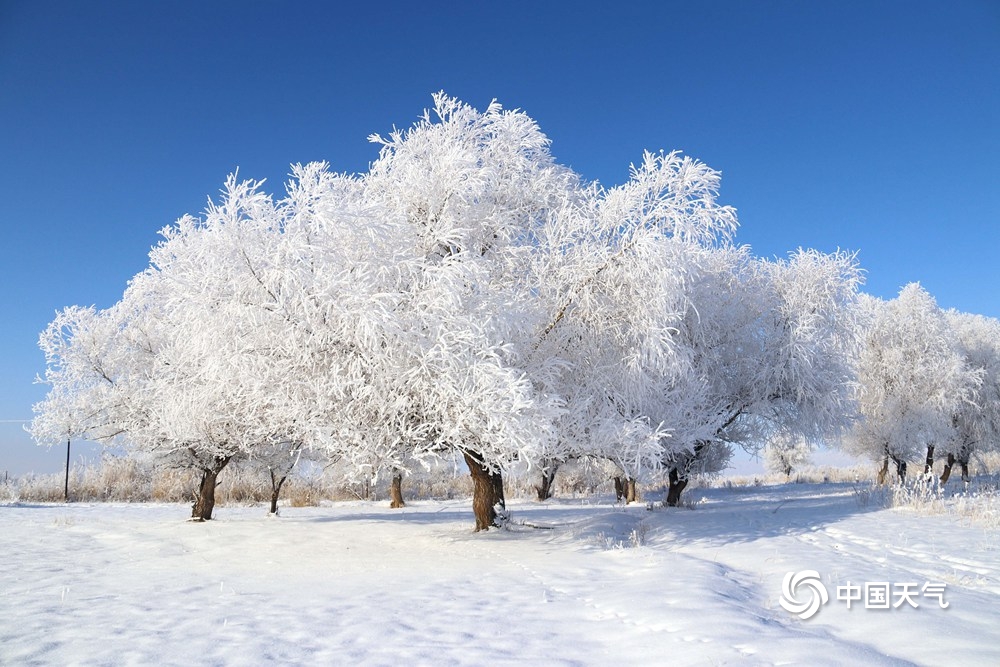 解锁最美冬季赏雪地 冰雪世界美若童话