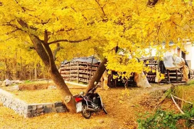 盘点湖北23个绝美景点,周末就去这些地方浪费时光吧