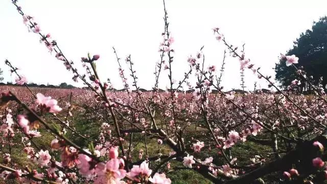盘点湖北23个绝美景点,周末就去这些地方浪费时光吧