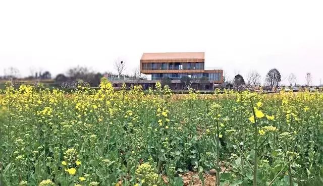 盘点湖北23个绝美景点,周末就去这些地方浪费时光吧