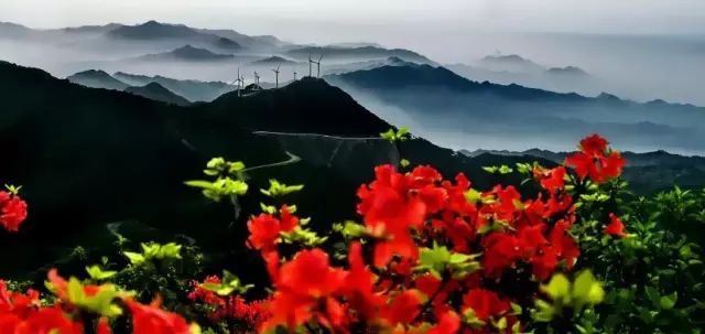 盘点湖北23个绝美景点,周末就去这些地方浪费时光吧