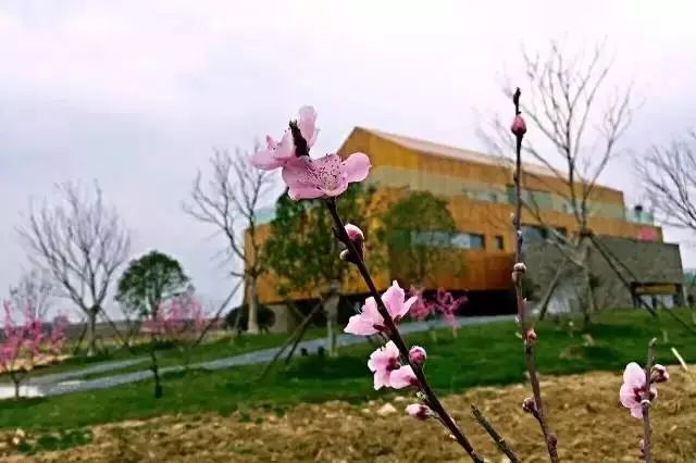 盘点湖北23个绝美景点,周末就去这些地方浪费时光吧