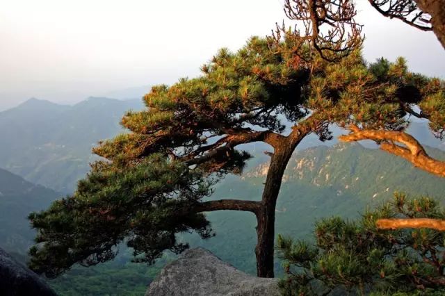 盘点湖北23个绝美景点,周末就去这些地方浪费时光吧