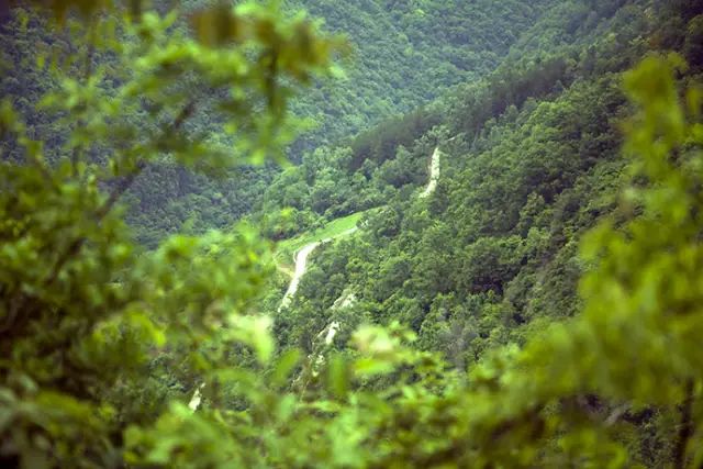 盘点湖北23个绝美景点,周末就去这些地方浪费时光吧