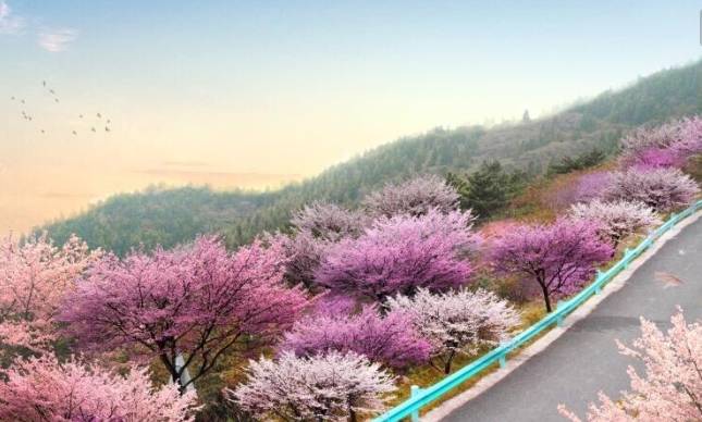 盘点湖北23个绝美景点,周末就去这些地方浪费时光吧