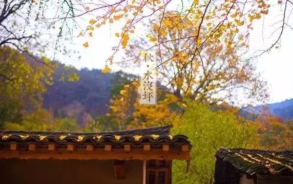 景美、人少、不堵车,湖北省内游攻略,安排!