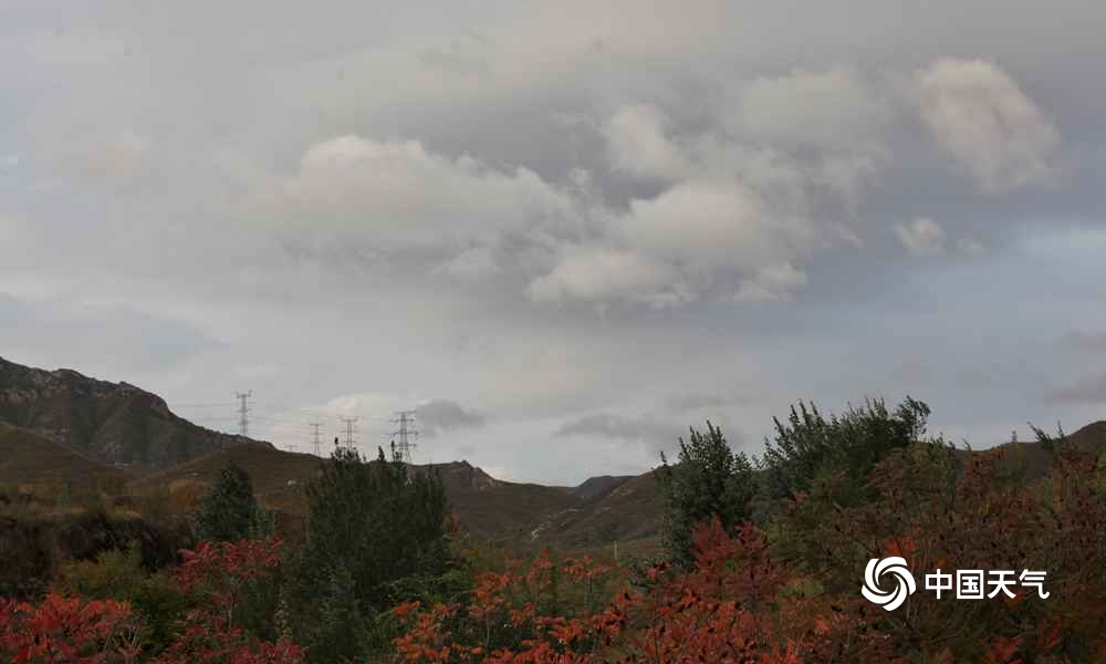 秋风扫落叶！北京延庆漫山红叶飘落 一派深秋景象