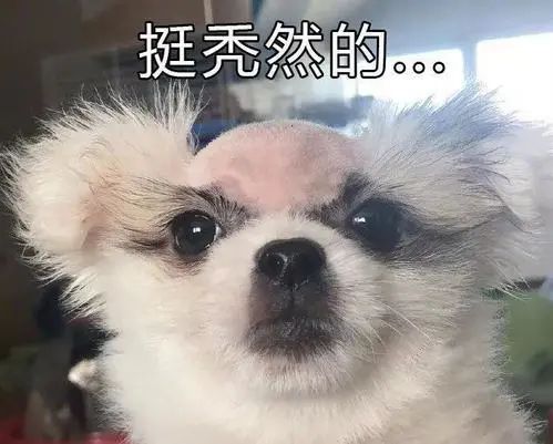 大反转!南北方气温要“倒挂”这些地方后天将比北方冷
