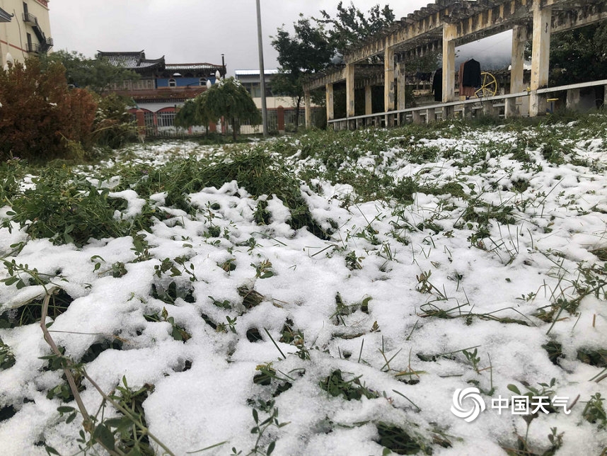 甘肃迭部迎来今年下半年首场雪 地面一片白茫茫