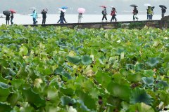 今天雨带将南压，浙南的