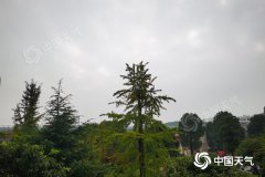 未来一周湖南累计雨量整