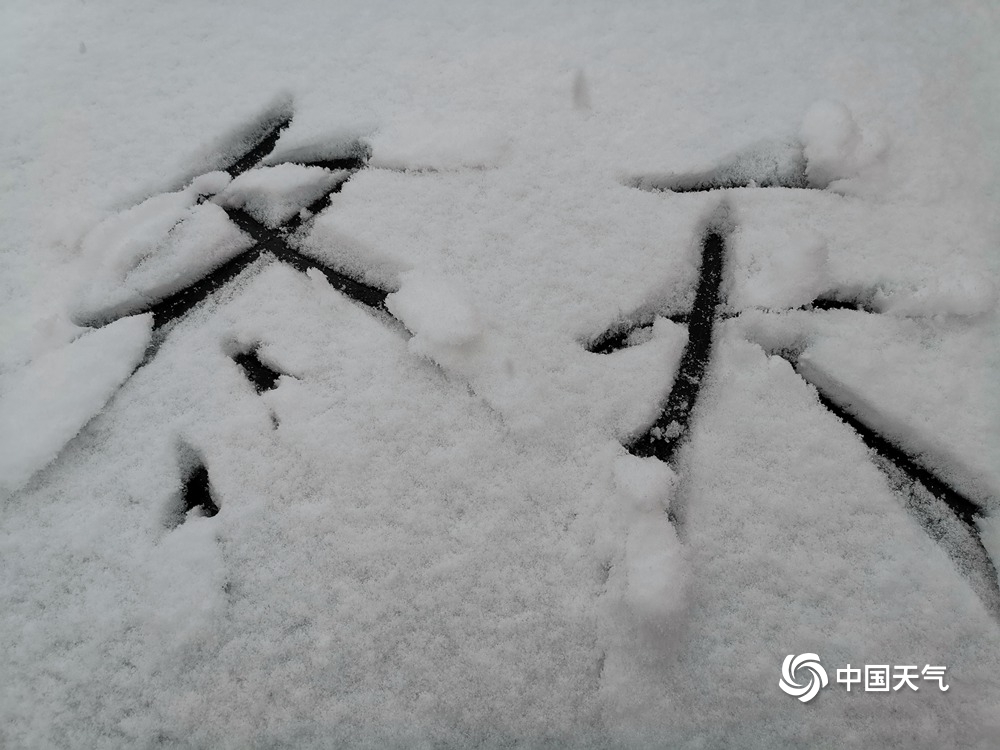 内蒙古呼伦贝尔迎来入冬以来第一场大范围降雪