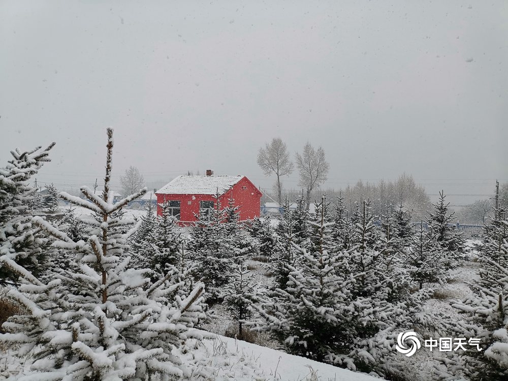 内蒙古呼伦贝尔迎来入冬以来第一场大范围降雪