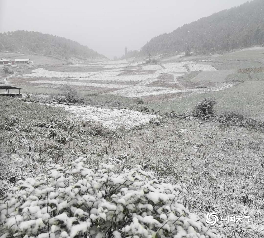 十月的云南宁蒗美丽“冻”人 高海拔地区飘起茫茫白雪