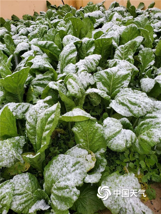 十月的云南宁蒗美丽“冻”人 高海拔地区飘起茫茫白雪