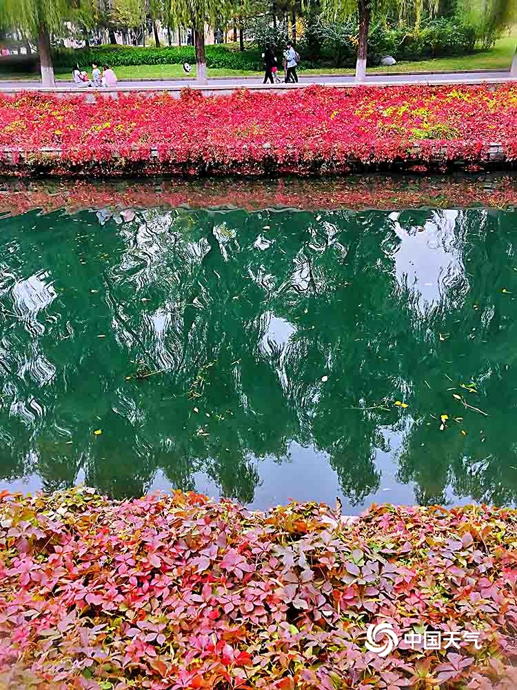 碧水红叶相映成趣 北京高梁河岸秋正浓