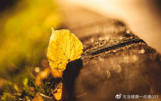 燥热咳嗽正当时,想要润肺止咳,不妨了解中医是怎么养生的