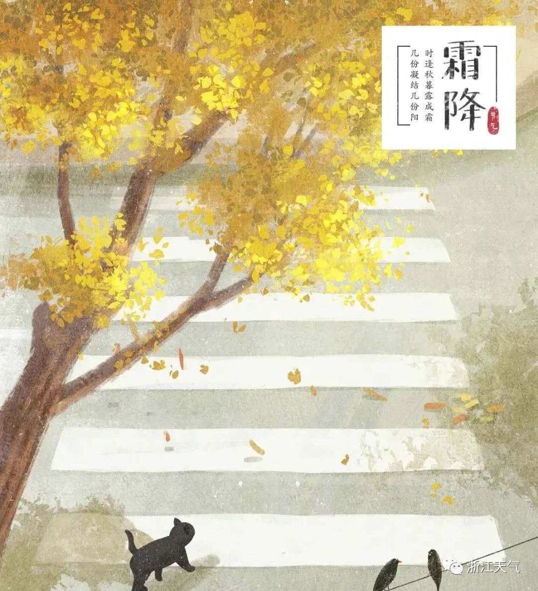最低气温创新低,果然是“霜降”的味道!还有个特大好消息要告诉您!