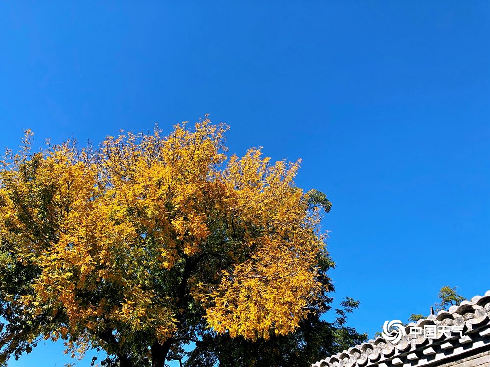 北京“通透蓝”入画来 美丽秋景令人心旷神怡