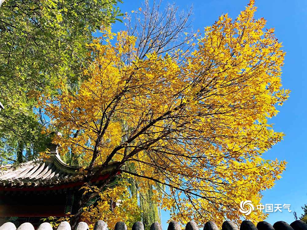 北京“通透蓝”入画来 美丽秋景令人心旷神怡