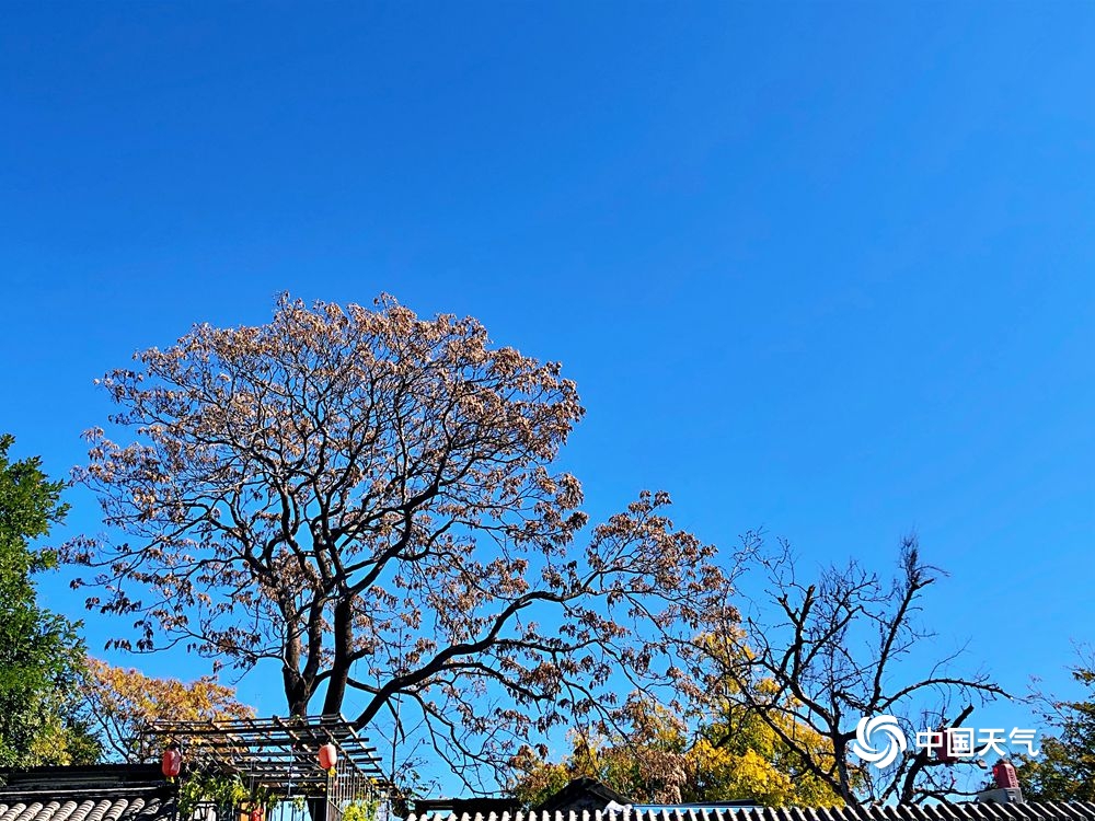 北京“通透蓝”入画来 美丽秋景令人心旷神怡
