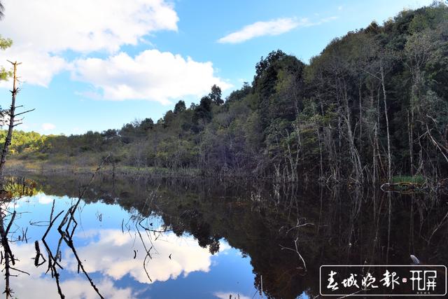 保山昌宁：湿地秋色如一副水彩