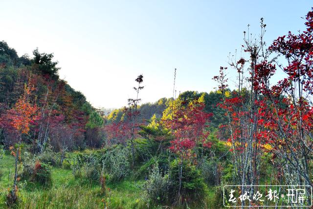 保山昌宁：湿地秋色如一副水彩