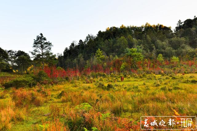 保山昌宁：湿地秋色如一副水彩