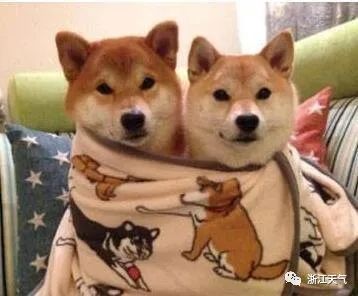 浙江经历入秋以来最冷早晨,未来气温还会继续跌吗?