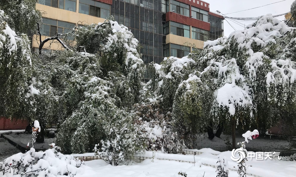 青海多地现今年下半年首场降雪 大地银装素裹