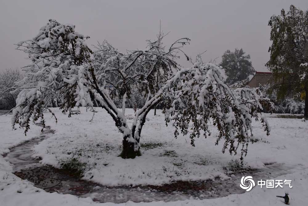 甘肃广河现今年下半年首场降雪 积雪深达10厘米