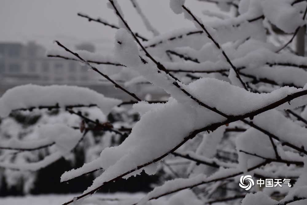 甘肃广河现今年下半年首场降雪 积雪深达10厘米