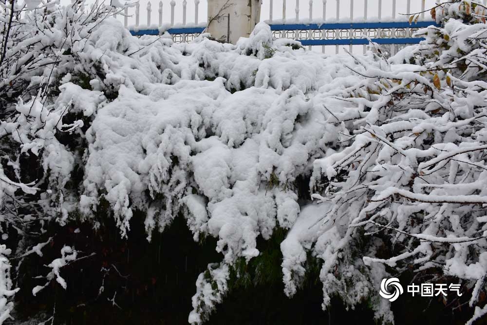 甘肃广河现今年下半年首场降雪 积雪深达10厘米