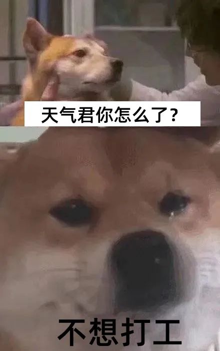 今年以来南海“风王”将诞生?冷空气又将拉低低低低北方气温