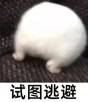 今年以来南海“风王”将诞生?冷空气又将拉低低低低北方气温