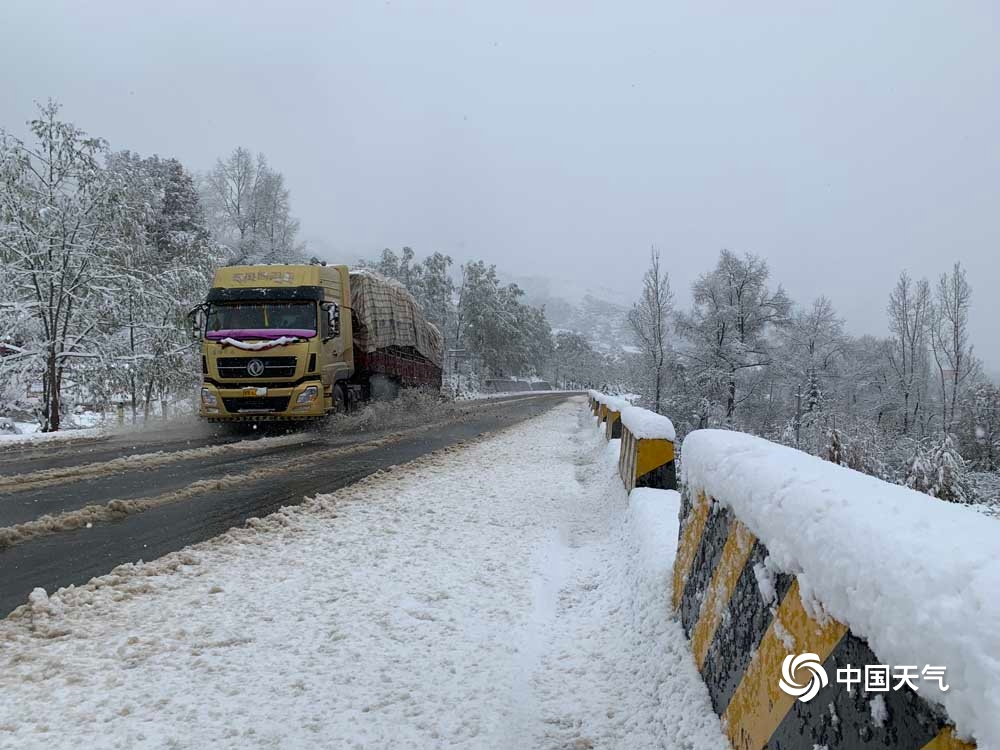 甘肃临夏积雪结冰 多处树枝被压断