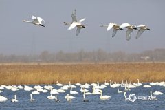 河北省张家口平湖自然湿