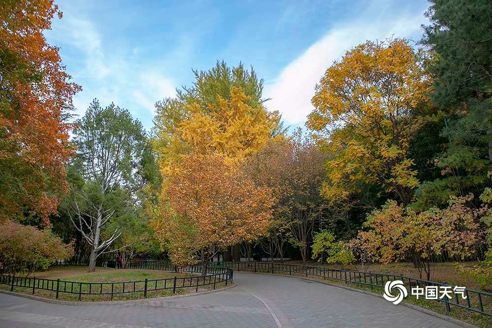 秋正浓！北京紫竹院公园色彩斑斓