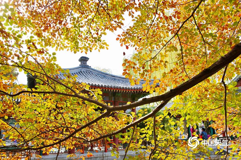 打卡北京颐和园绝美秋色！第一张就美翻了