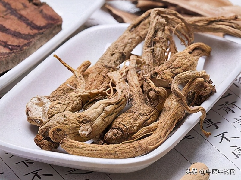 4种益肝中药材，正确服用有禁忌