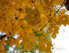 北方大部 东北华北下周初
